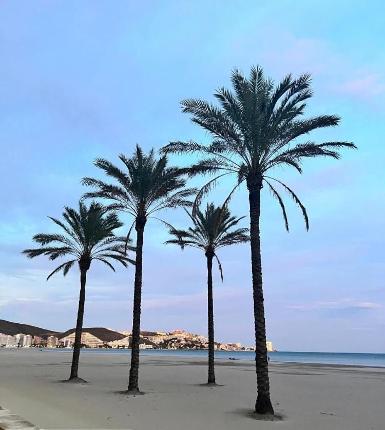 A 50 M De La Plage Cullera Exteriör bild